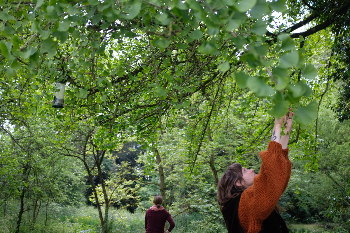 Lenteoogst in het Wickenburghse bos